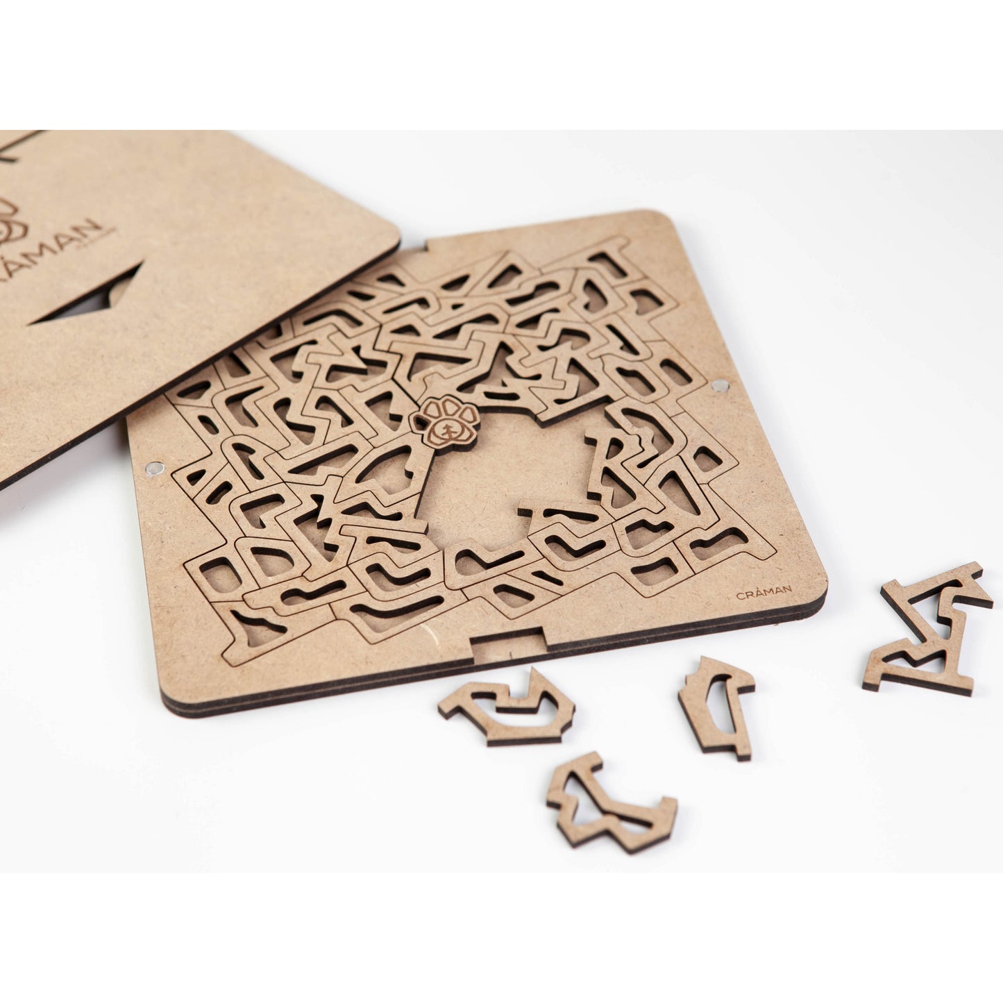IQ Puzzle # 6