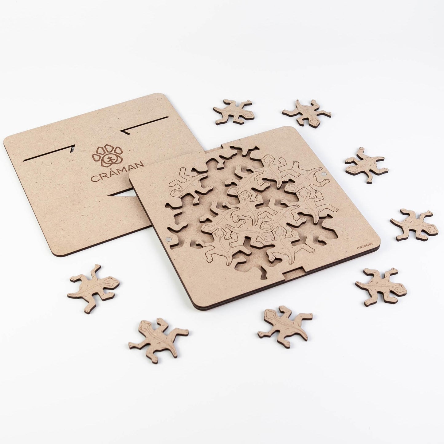 IQ Puzzle #7