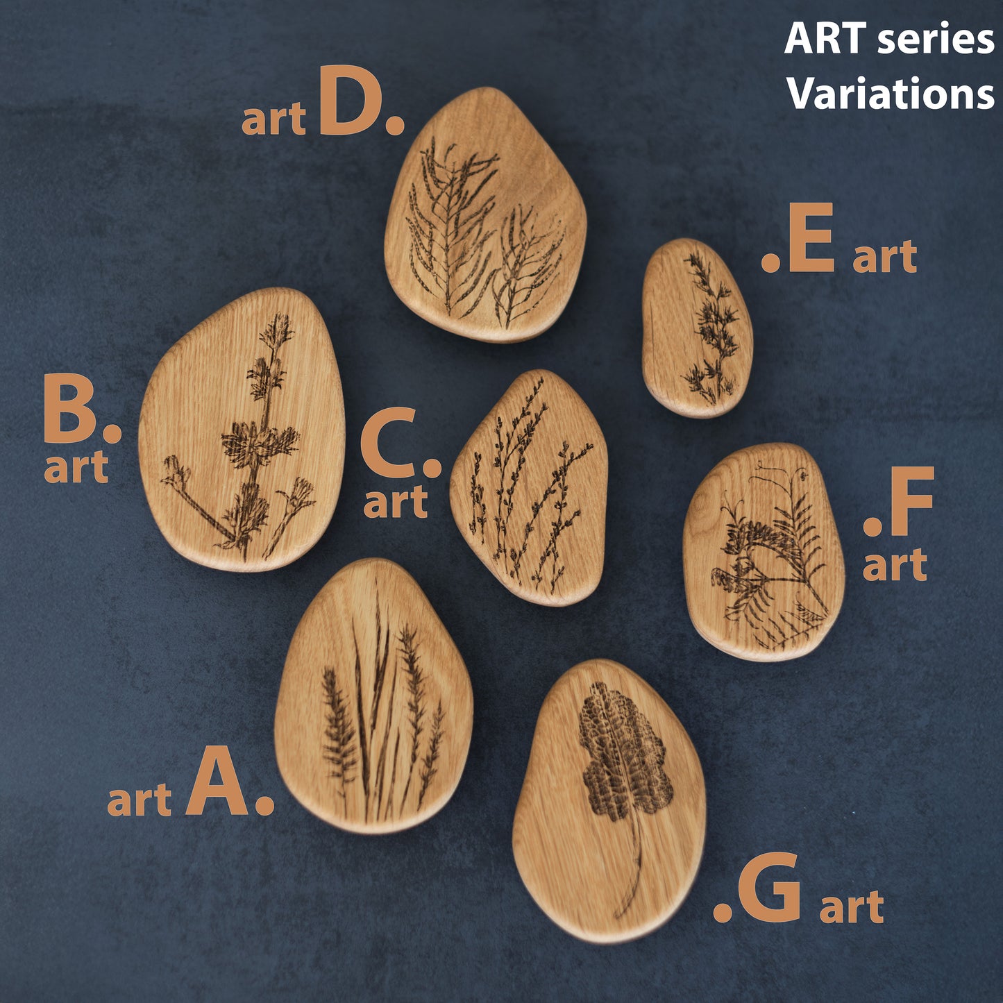 Wandhaken aus Holz für Wohndeko, Eichenhaken zur Organisation, Kleiderhaken, Garderobenhaken Craman Germany ART2