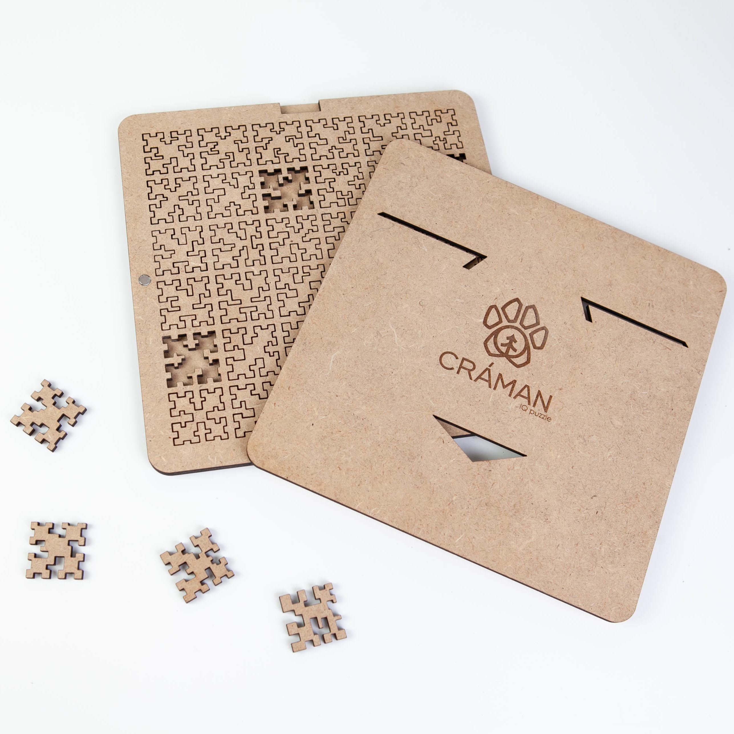 Wooden iq hot sale puzzle