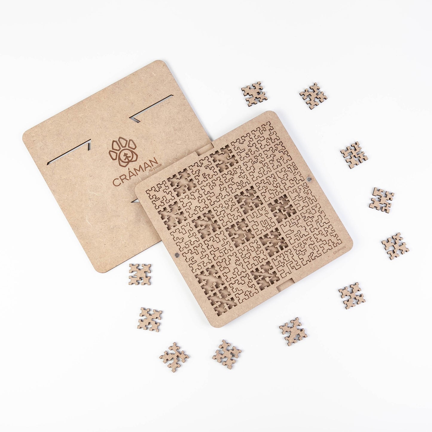IQ Puzzle # 2