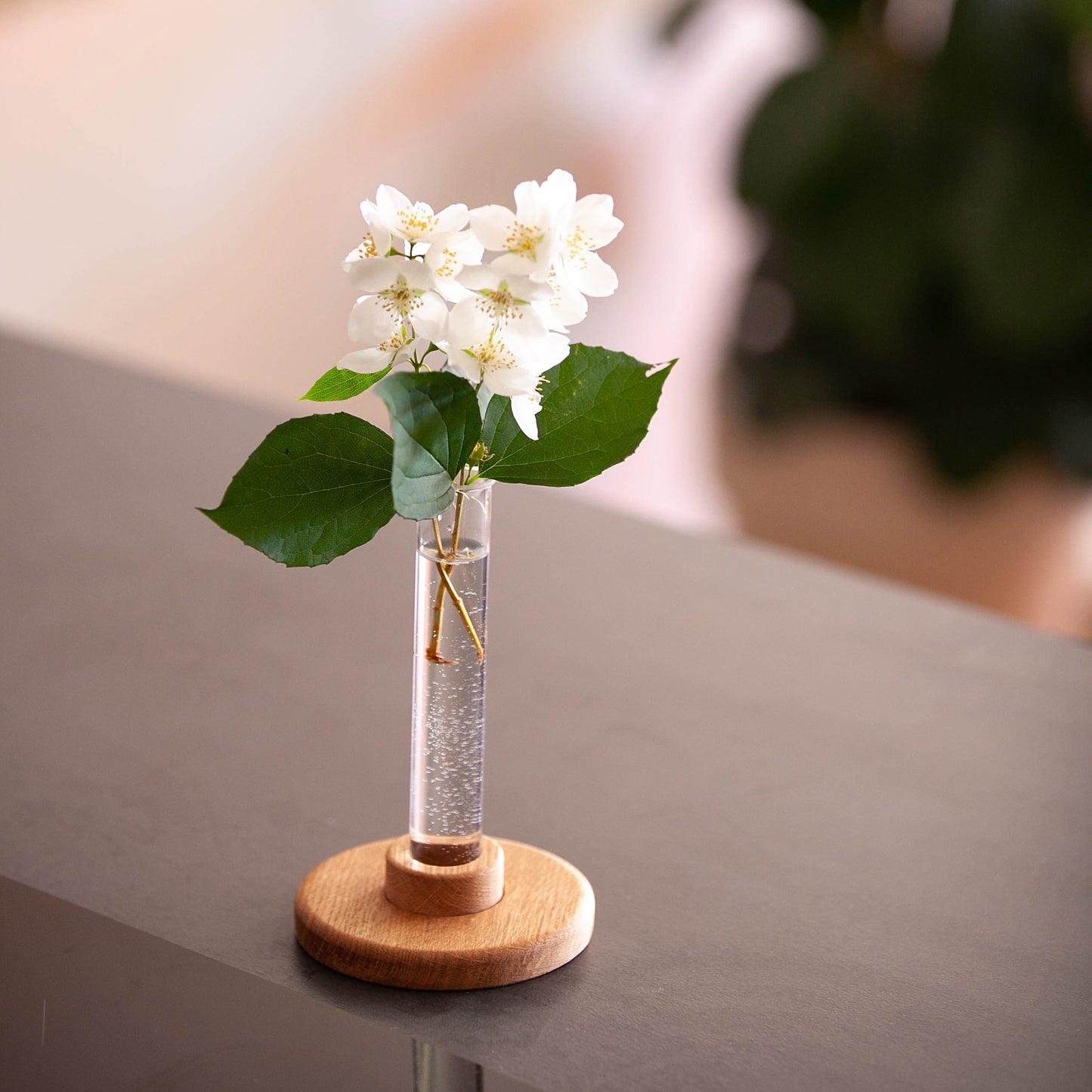 Oak towel holder, Craman #119